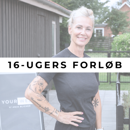 16 ugers livsstilforløb